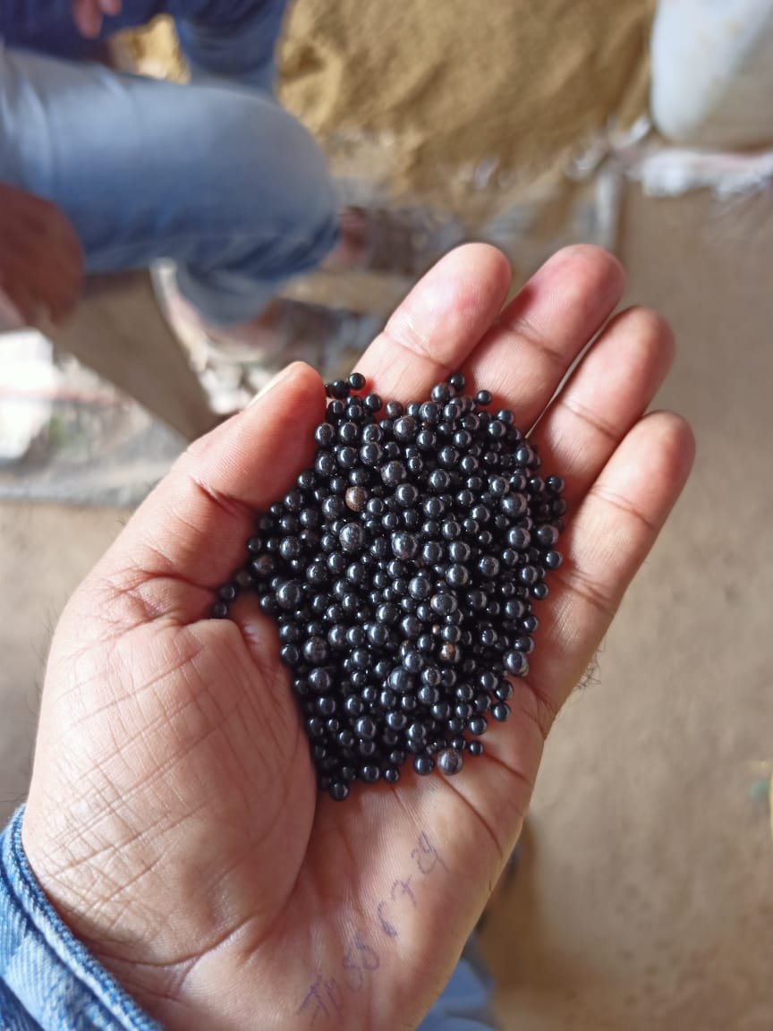 AR Soil Product Branding